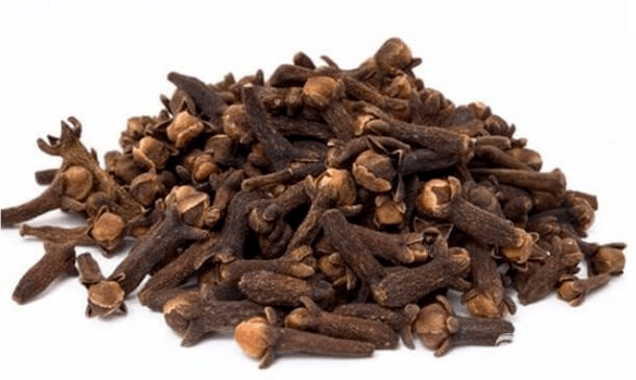 Carnation seeds