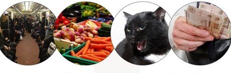 Forms of infection with parasites